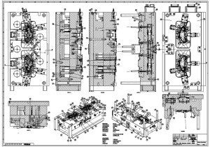 Mould-Zng1